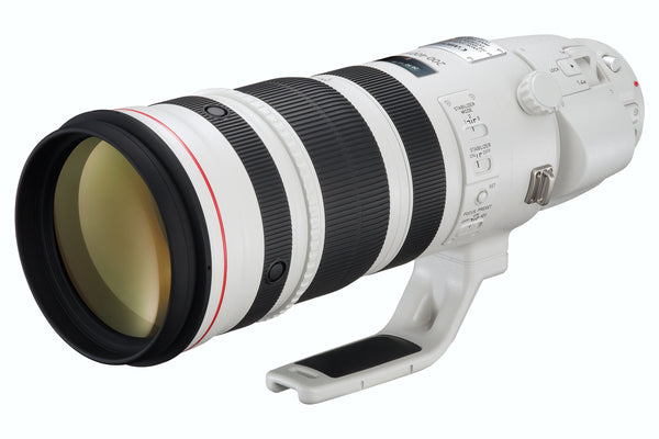 Canon EF 200-400mm f/4 L IS USM Lens