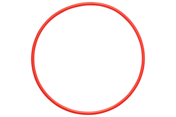 Olympus POL-058 O-ring for PT-058 Underwater Housing