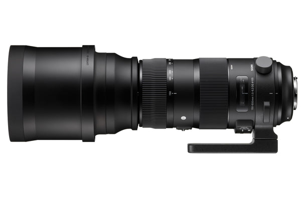 Sigma 150-600mm F/5-6.3 DG OS HSM Sports Telephoto Zoom Lens - Nikon Fit