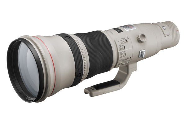 Canon EF 800mm 5.6L IS USM Lens