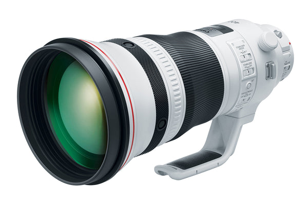 Canon EF 400mm f/2.8L IS III USM Lens